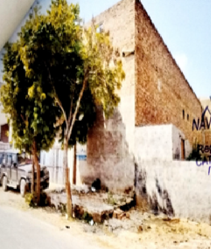 Ms Krishna Agro Seeds (Godown), Rajasthan